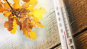 Încălzirea globală ne-a furat toamna! Climatologii avertizează că efectele vor fi tot mai grave
